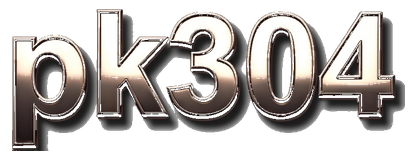 pk304 logo